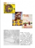 刘振炎《新会风•陈皮韵》摄影作品欣赏(4)_在线影展的作品